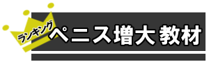 図解マンガ 対面座位 のテクニックと女性に選ばれる理由 セックス Sex 教材マニュアルのランキング 比較の総合専門サイト